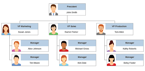 Organizational Structure Tutorial: Definition and Types